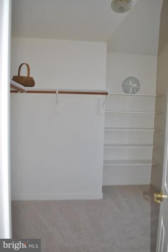 47659 Rhyolite Place Sterling, VA 20165 - Photo 21 of 25 Walk-in closet