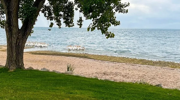 $1,295,000 | 6121 Sandy Cove, Luxemburg, WI 54217