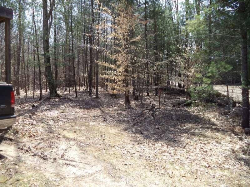 6592 South 128th Avenue Rothbury, MI 49452 - Photo 9 of 9 128th shelby 010