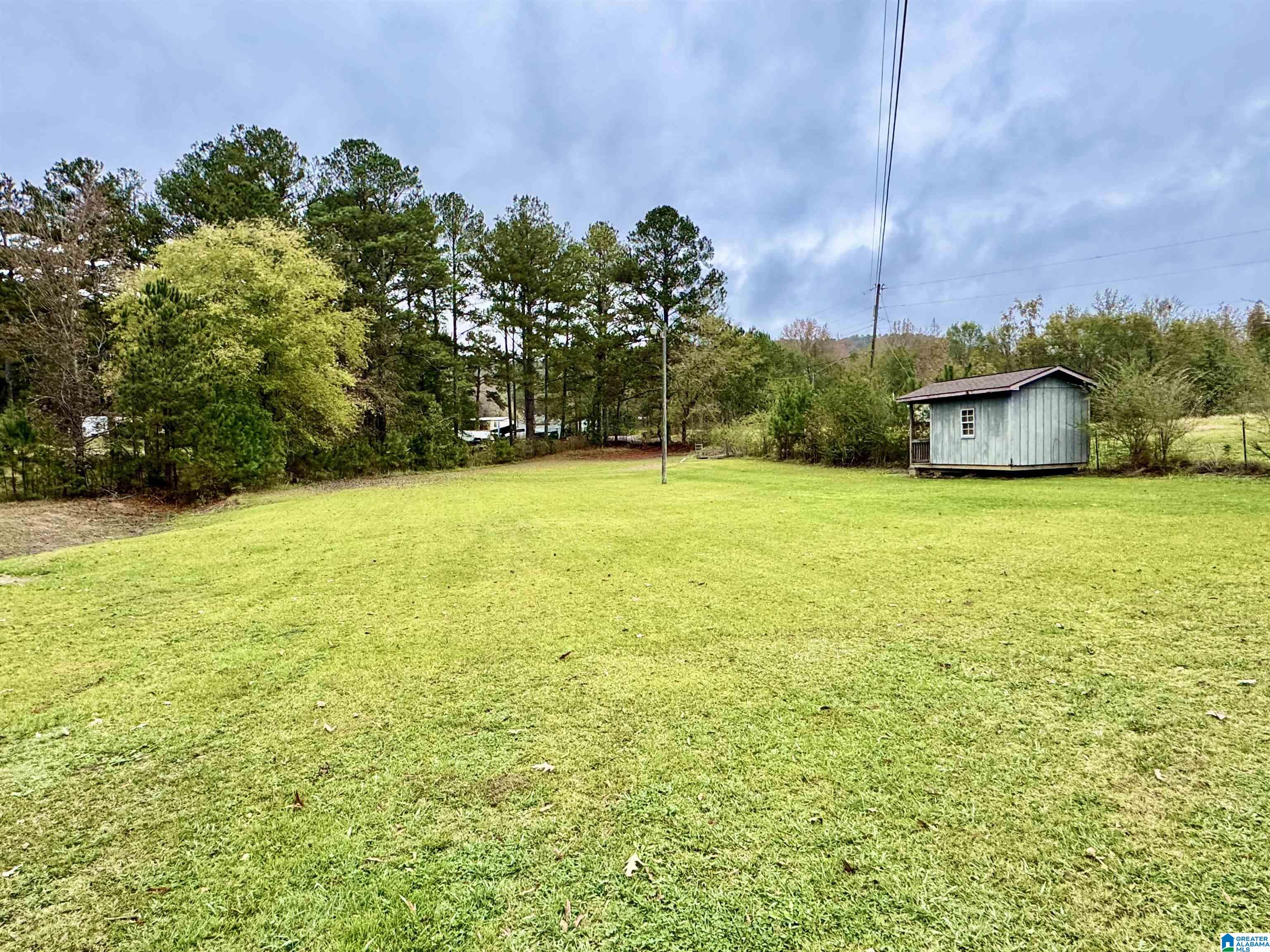 33 Hunters Lane Vandiver, AL 35176 - Photo 1 of 9