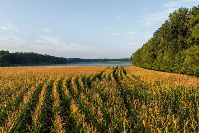 $35,000,000 | 1771 Dancyville Eurekaton Road, Stanton, TN 38069