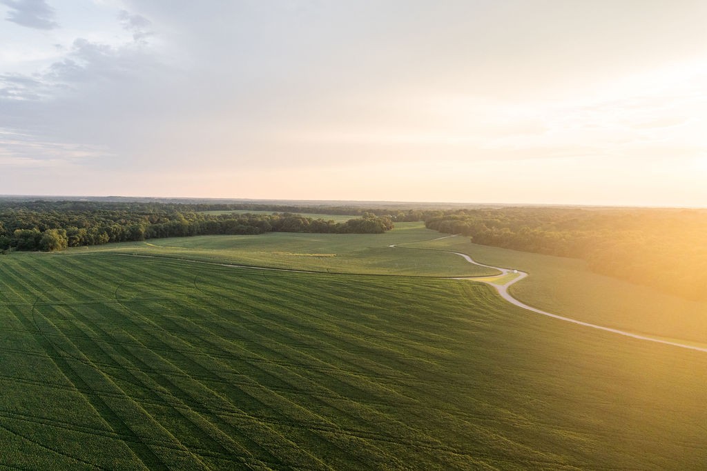 1771 Dancyville Eurekaton Road Stanton, TN 38069 - Photo 26 of 100