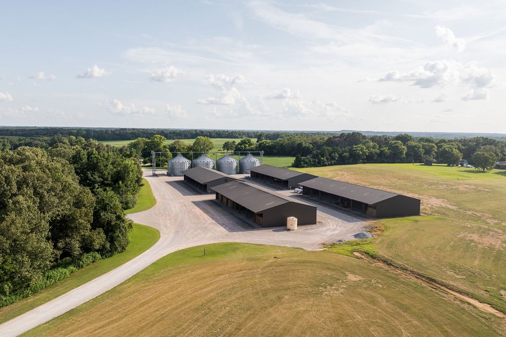 1771 Dancyville Eurekaton Road Stanton, TN 38069 - Photo 84 of 100