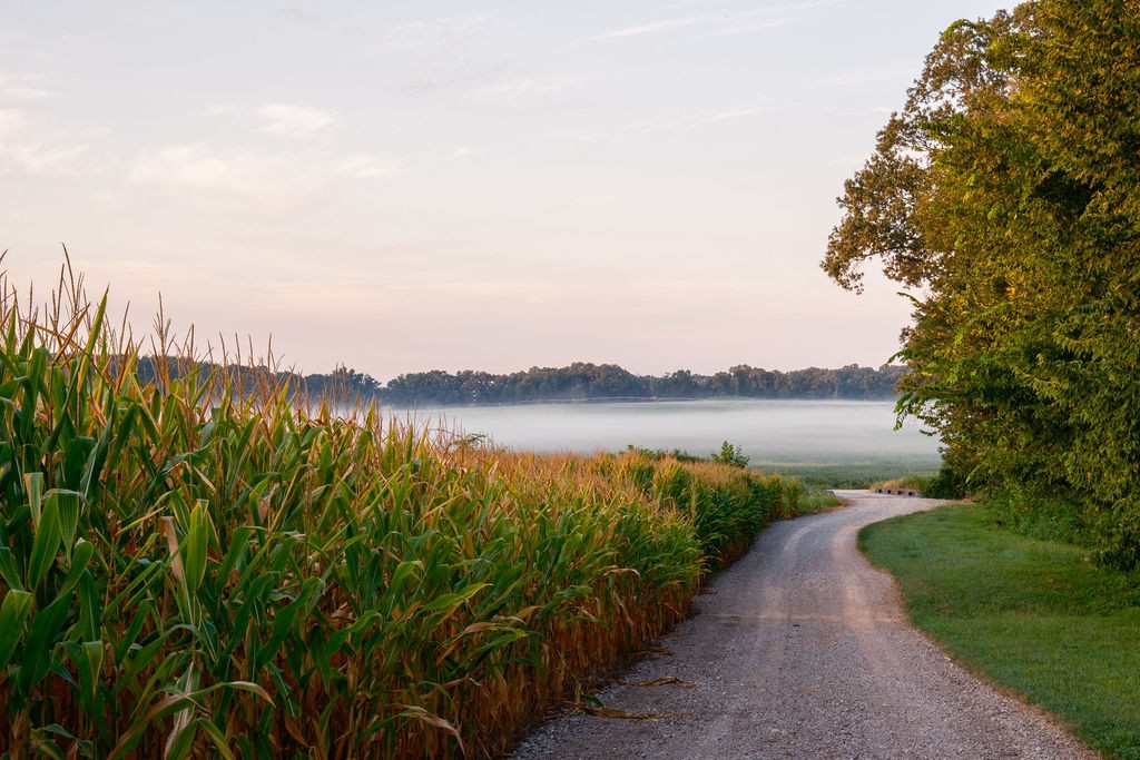 1771 Dancyville Eurekaton Road Stanton, TN 38069 - Photo 89 of 100