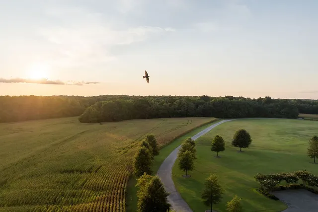 $35,000,000 | 1771 Dancyville Eurekaton Road, Stanton, TN 38069