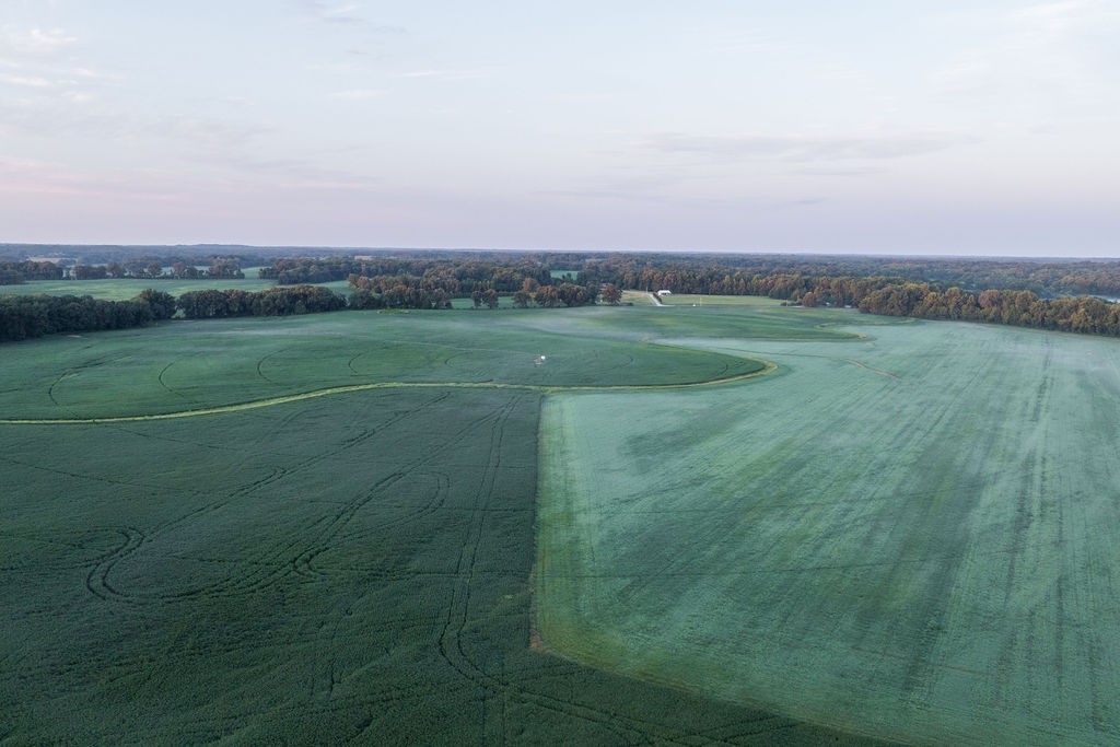 1771 Dancyville Eurekaton Road Stanton, TN 38069 - Photo 93 of 100