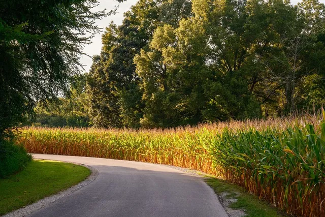 $35,000,000 | 1771 Dancyville Eurekaton Road, Stanton, TN 38069