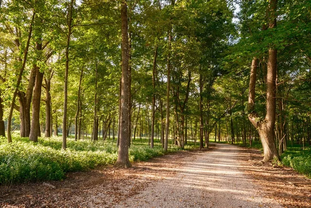 $35,000,000 | 1771 Dancyville Eurekaton Road, Stanton, TN 38069