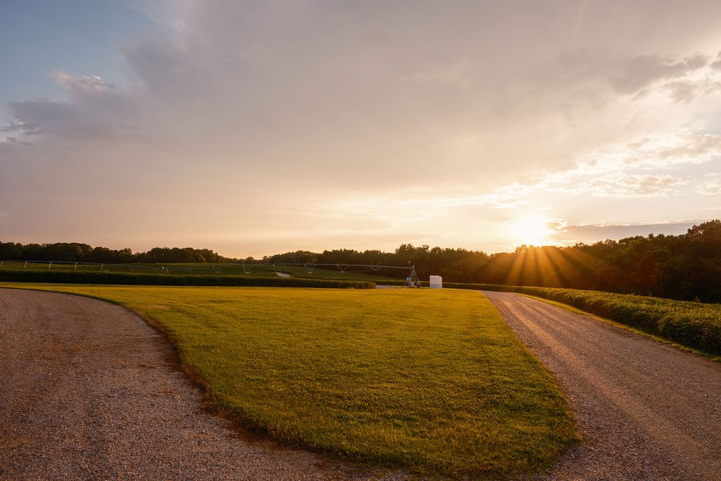 1771 Dancyville Eurekaton Road Stanton, TN 38069 - Photo 99 of 100