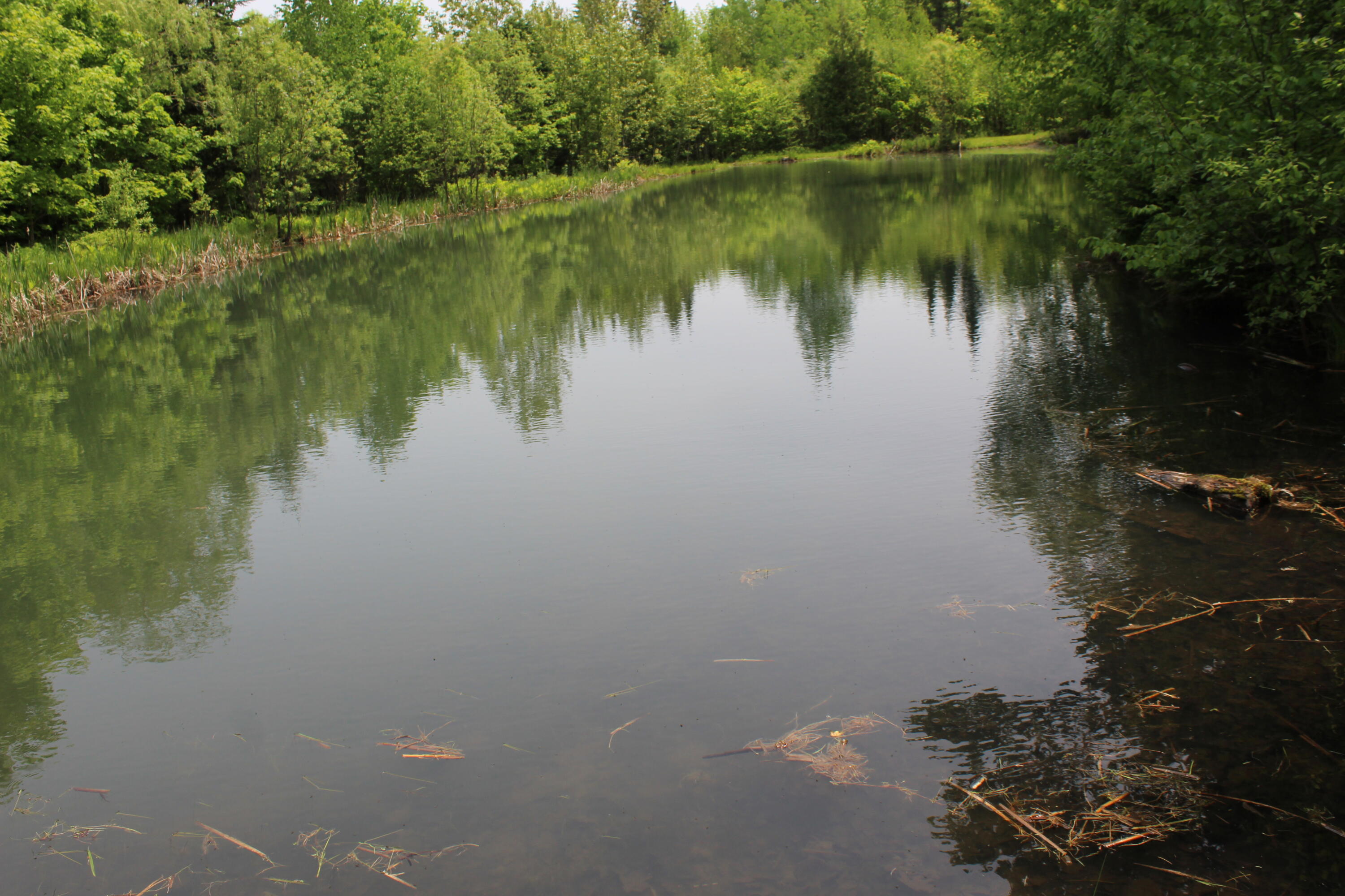 213 Clark Road Merrill, ME 04780 - Photo 12 of 42 IMG_6759
