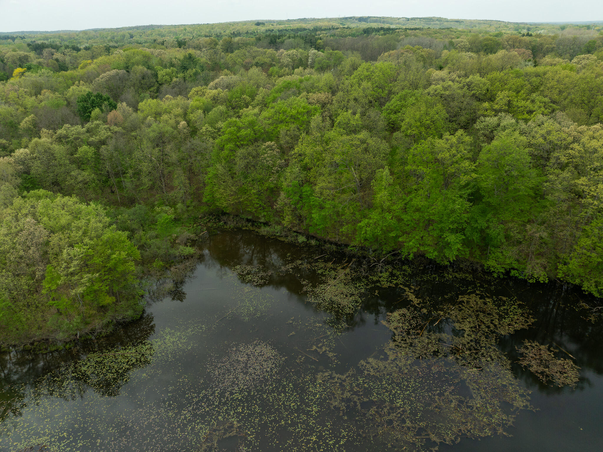 Tipsico Lake Road Fenton, MI 48430 - Photo 16 of 18 DJI_0319