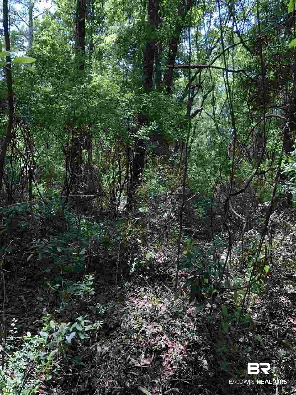 0 Heard Road Fairhope, AL 36532 - Photo 1 of 2