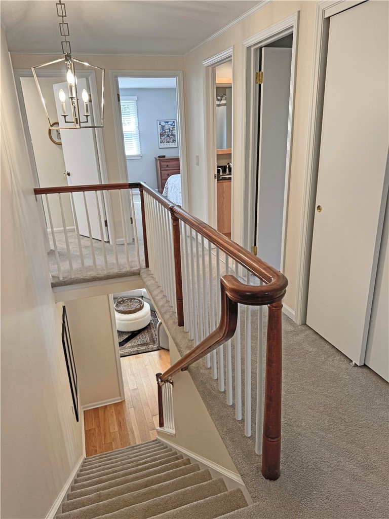130 Runnymede Road Brighton, NY 14618 - Photo 26 of 50 Gallery Image 26