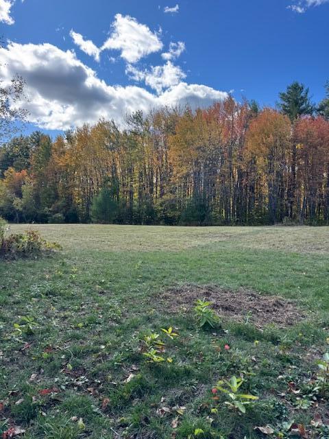 Lot 2 Oak Hill Road Norridgewock, ME 04957 - Photo 16 of 16