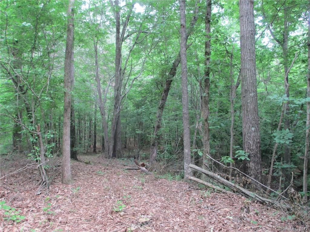 12 Lead Off Road Lancaster, SC 29720 - Photo 2 of 17 a view of a forest that has large trees