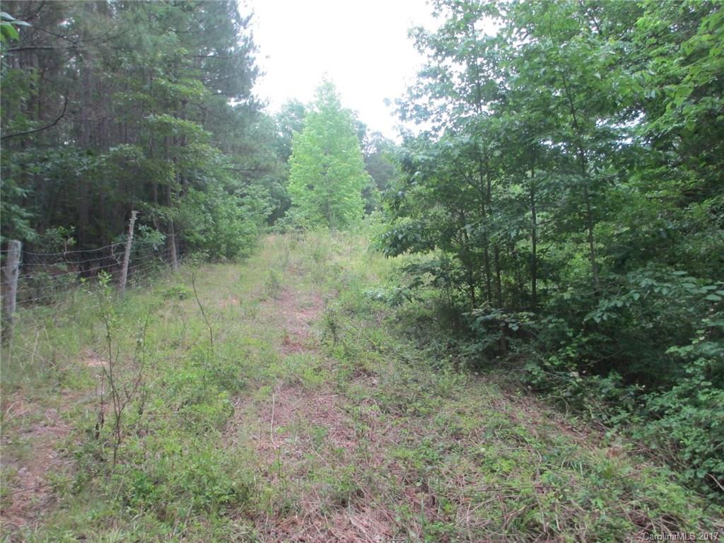 12 Lead Off Road Lancaster, SC 29720 - Photo 11 of 17 a view of a forest filled with trees
