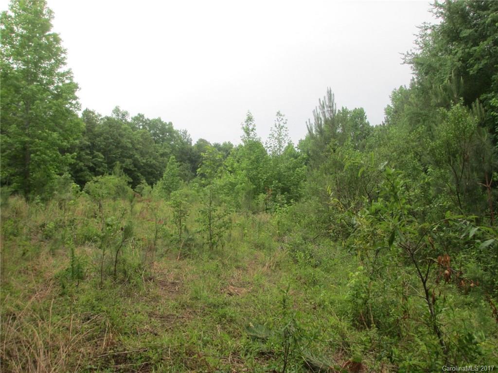 12 Lead Off Road Lancaster, SC 29720 - Photo 12 of 17 a view of a field of grass and trees