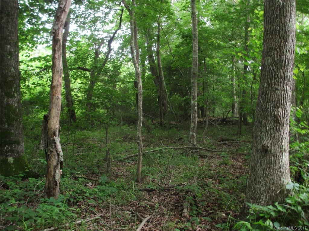 12 Lead Off Road Lancaster, SC 29720 - Photo 13 of 17 a view of a forest filled with lots of trees