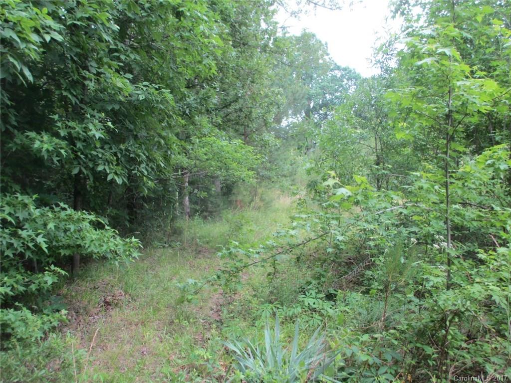 12 Lead Off Road Lancaster, SC 29720 - Photo 14 of 17 a view of a lush green forest with lots of trees
