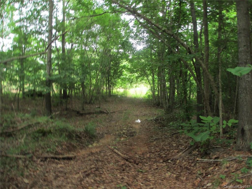 12 Lead Off Road Lancaster, SC 29720 - Photo 15 of 17 a view of a forest with trees in the background