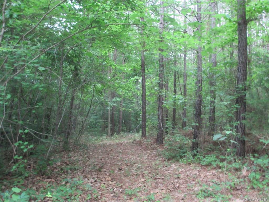 12 Lead Off Road Lancaster, SC 29720 - Photo 17 of 17 a view of a forest that has large trees