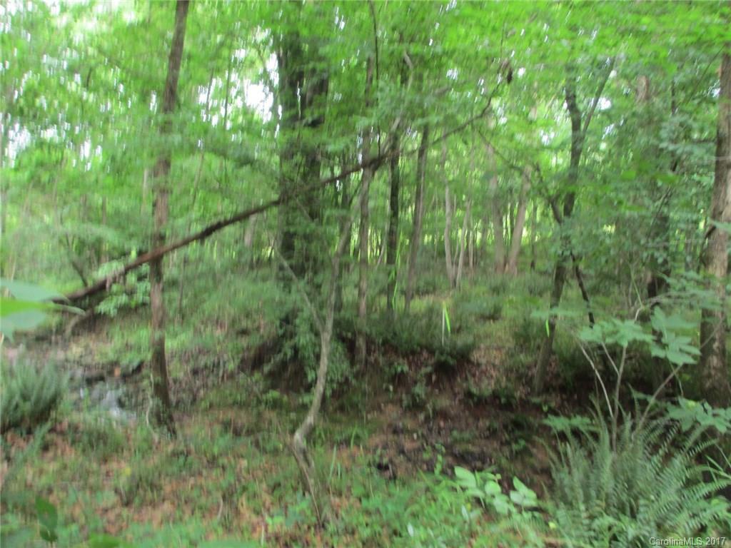 12 Lead Off Road Lancaster, SC 29720 - Photo 3 of 17 a view of a lush green forest