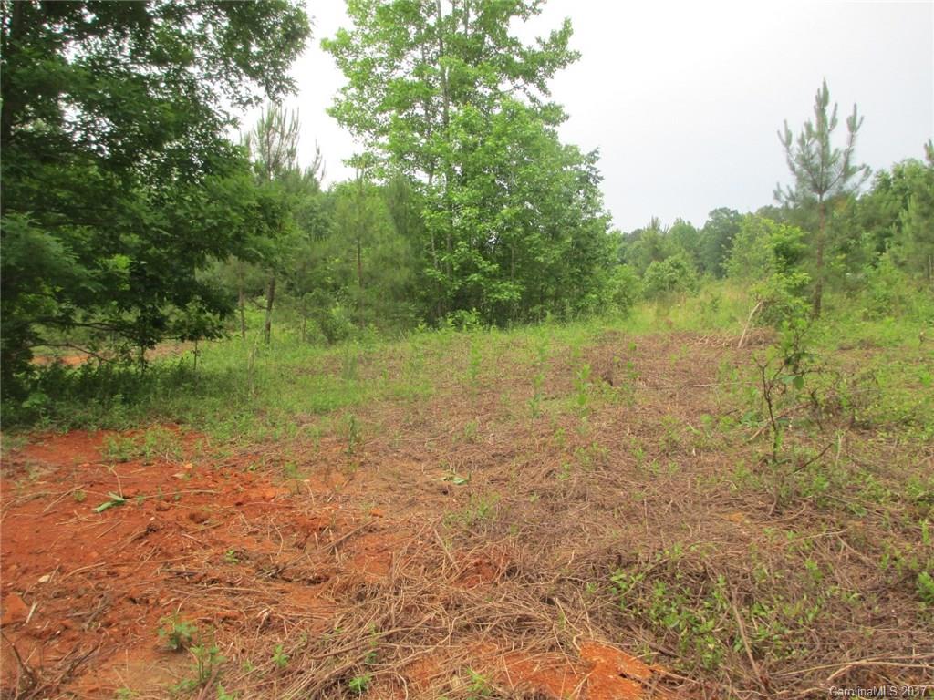 12 Lead Off Road Lancaster, SC 29720 - Photo 5 of 17 a view of a yard with a tree