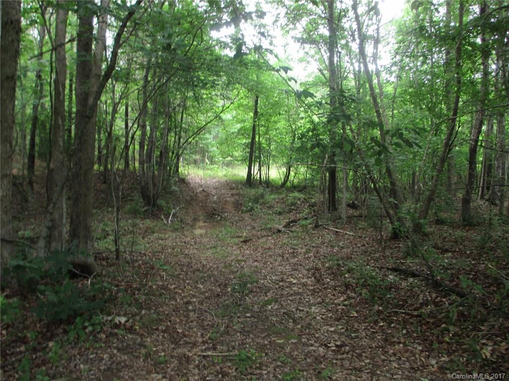 12 Lead Off Road Lancaster, SC 29720 - Photo 8 of 17 a view of a forest that has large trees