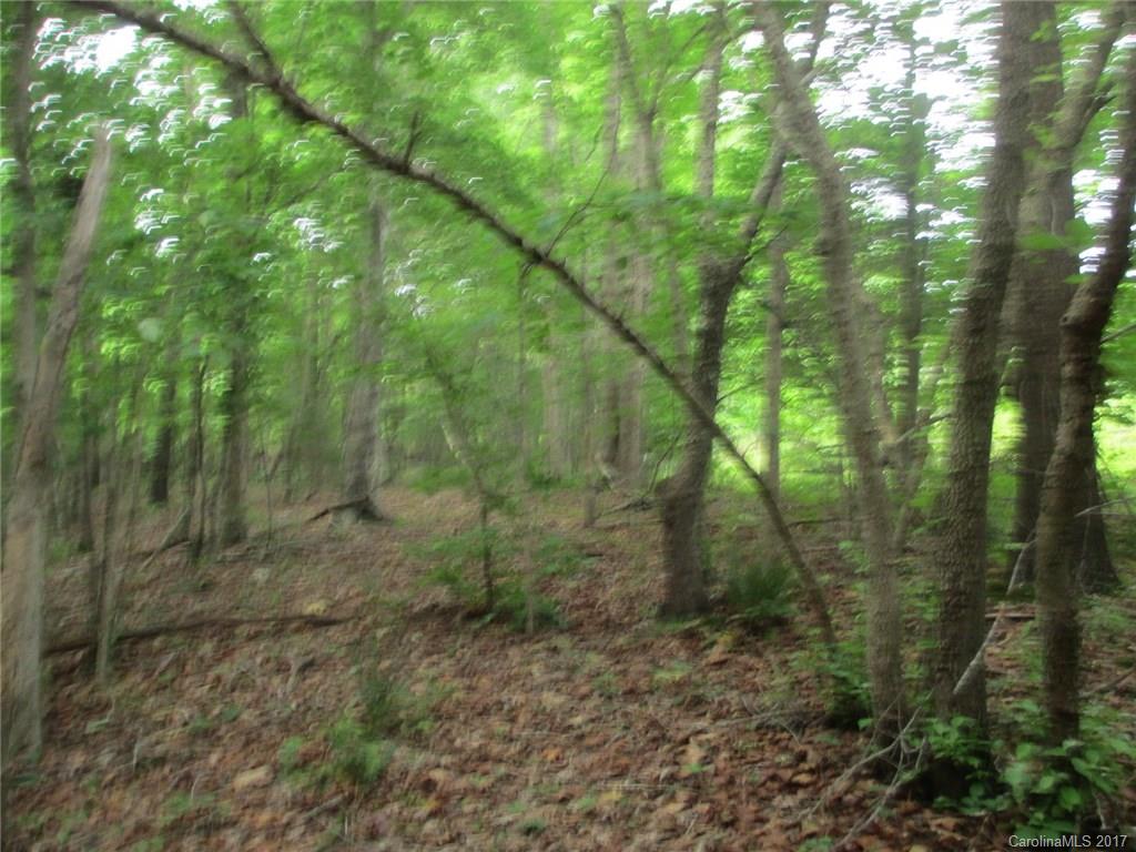 12 Lead Off Road Lancaster, SC 29720 - Photo 9 of 17 a view of a forest with trees