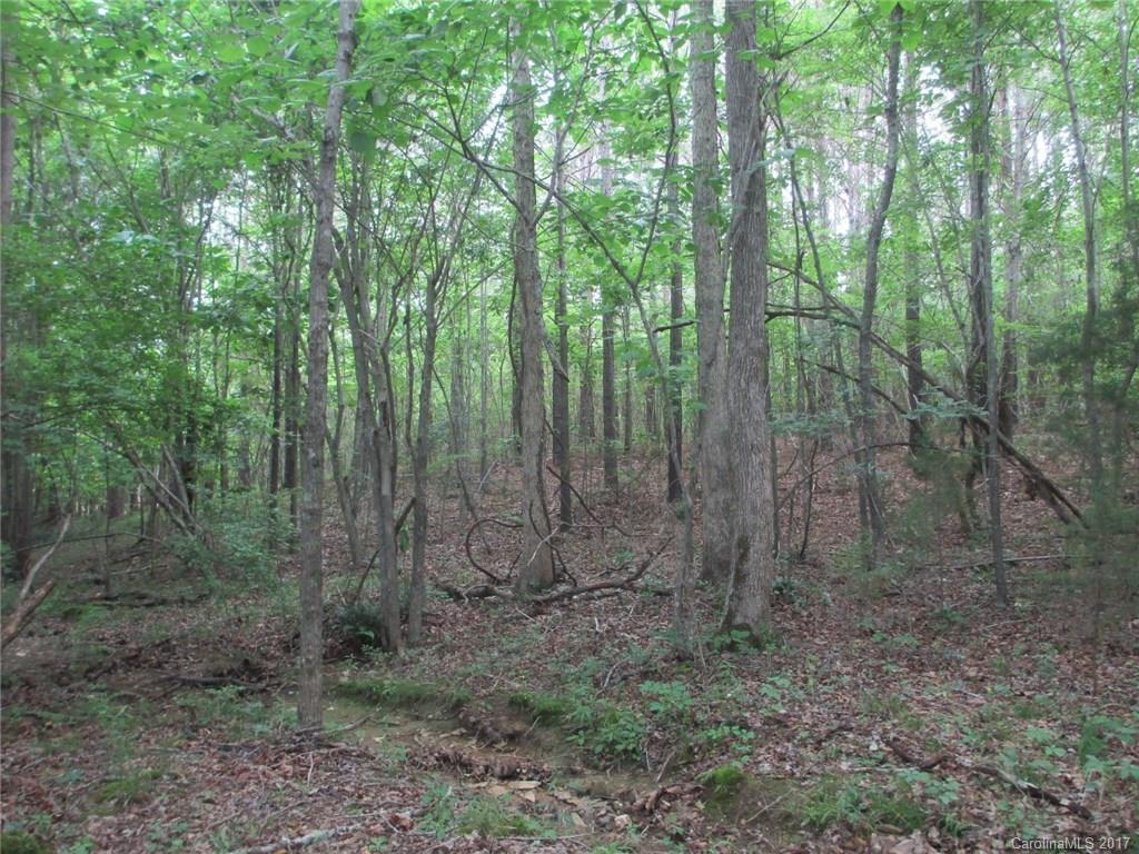 12 Lead Off Road Lancaster, SC 29720 - Photo 10 of 17 a view of a forest with trees in the background