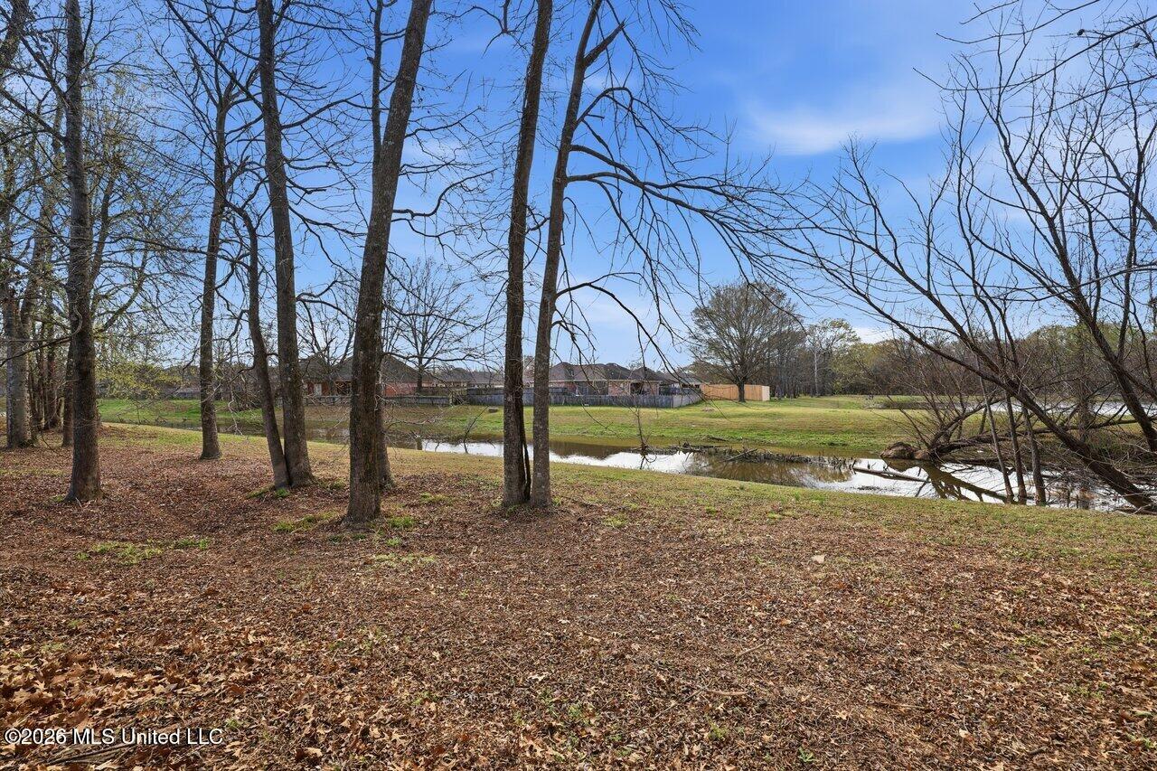 115 Harvey Circle Canton, MS 39046 - Photo 34 of 35 115 Harvey Cir Home Tours MS 34