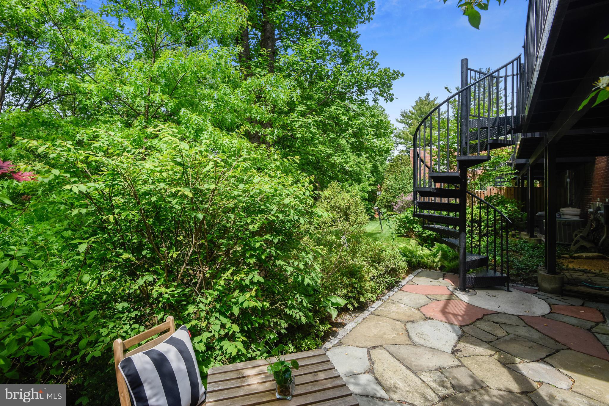 4847 27th Road South Arlington, VA 22206 - Photo 27 of 36 RARE spiral staircase leads to private patio