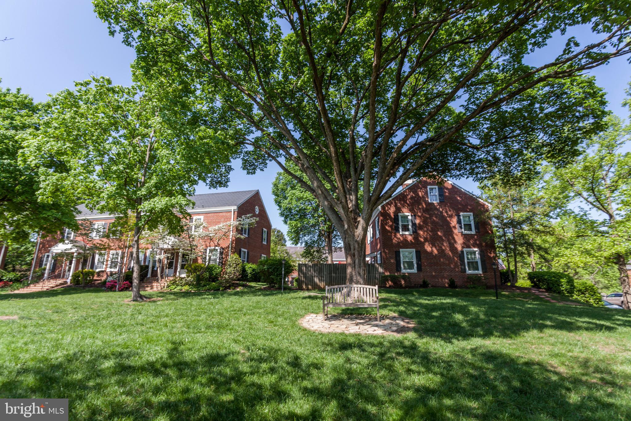 4847 27th Road South Arlington, VA 22206 - Photo 31 of 36 Beautifully kept common grounds