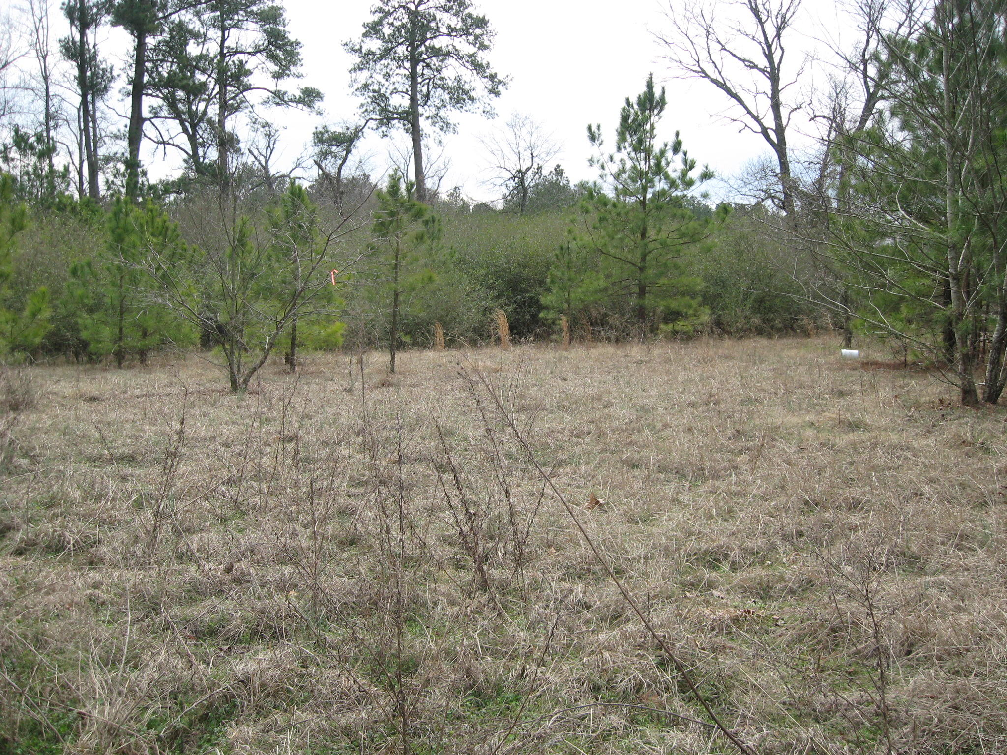 Lot 10 Cranes Creek Road Cameron, NC 28326 - Photo 1 of 7 IMG_1003