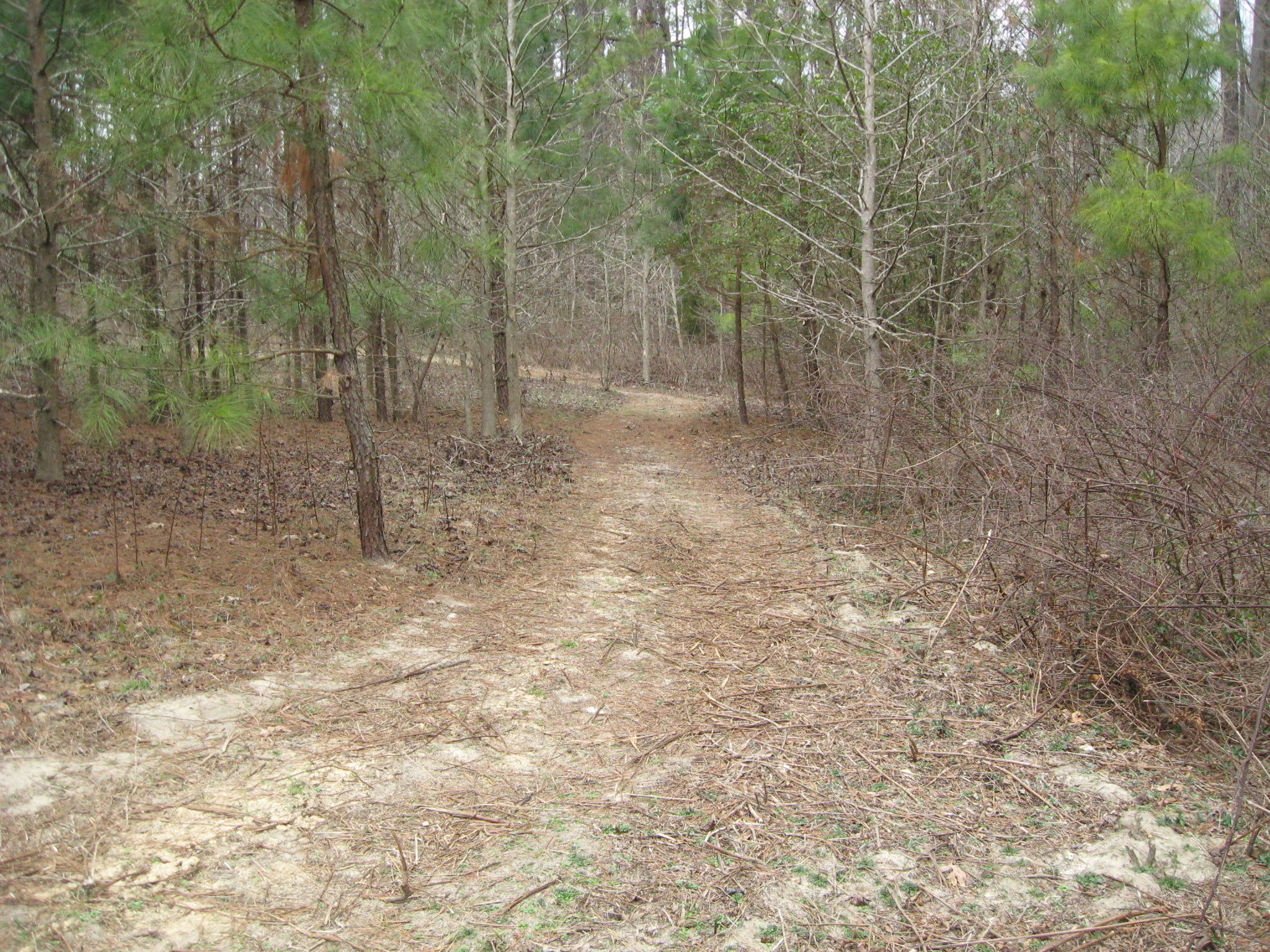 Lot 10 Cranes Creek Road Cameron, NC 28326 - Photo 3 of 7 IMG_1005