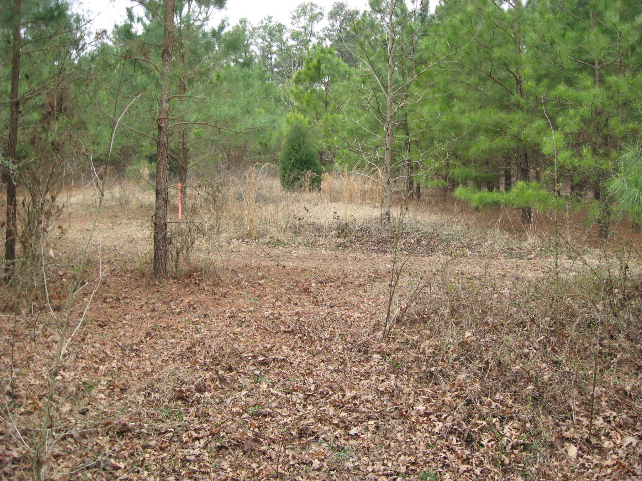 Lot 10 Cranes Creek Road Cameron, NC 28326 - Photo 4 of 7 IMG_1009