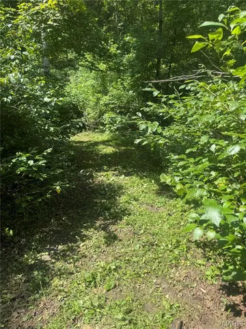 $205,000 | O Ridge Road, Dittmer, MO 63023