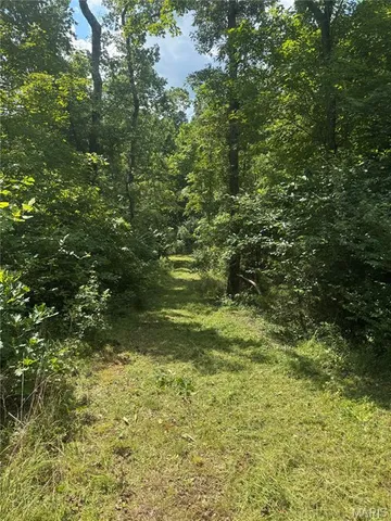 $205,000 | O Ridge Road, Dittmer, MO 63023