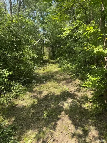 $205,000 | O Ridge Road, Dittmer, MO 63023