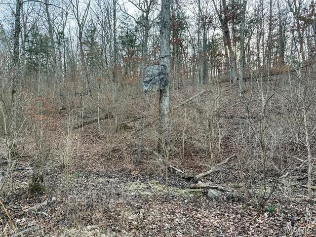 $205,000 | O Ridge Road, Dittmer, MO 63023