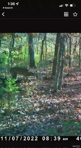 $205,000 | O Ridge Road, Dittmer, MO 63023