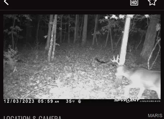 $205,000 | O Ridge Road, Dittmer, MO 63023