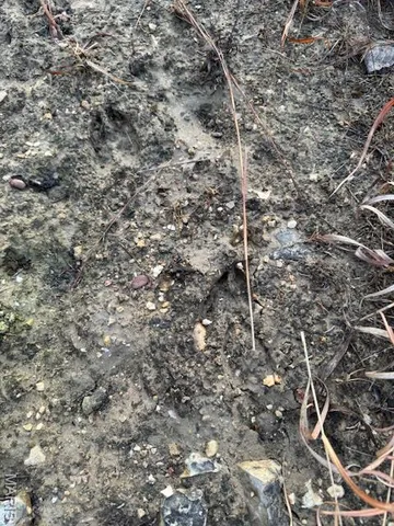 $205,000 | O Ridge Road, Dittmer, MO 63023