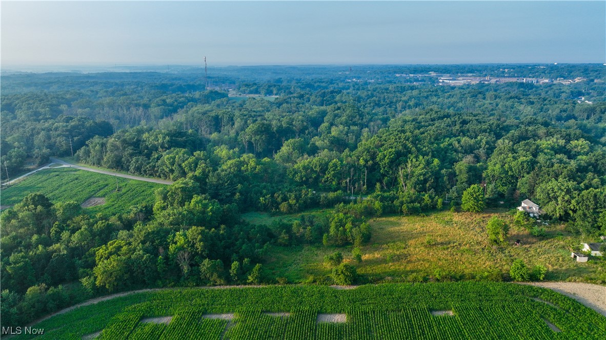22600 Lexington Road Alliance, OH 44601 - Photo 13 of 39 Aerial view featuring a rural view