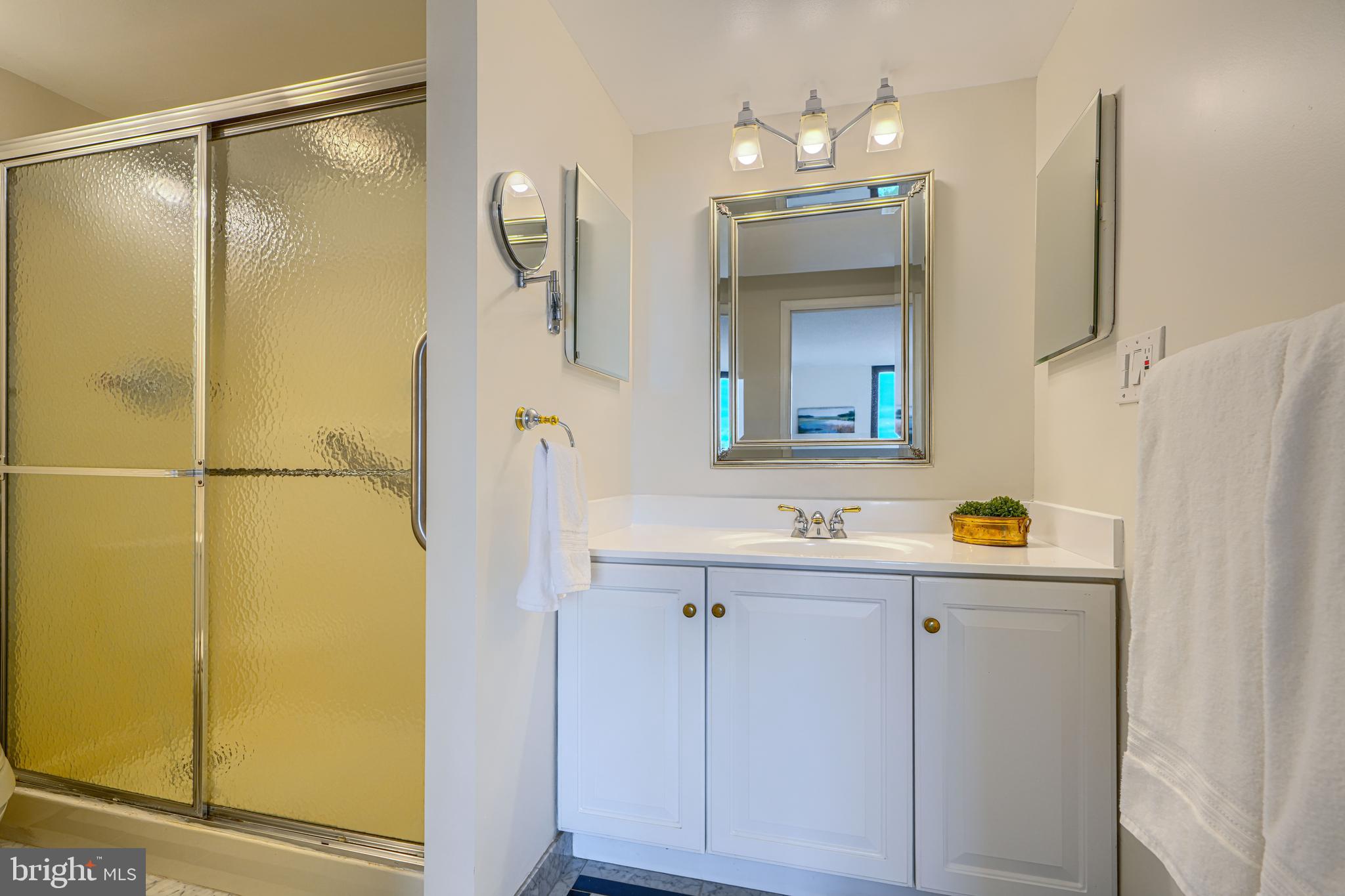 4100 North Charles Street, Unit 1010 Baltimore, MD 21218 - Photo 54 of 73 Primary ensuite bath