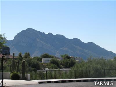11372 Silver Pheasant Loop Tucson, AZ 85737 - Photo 24 of 24