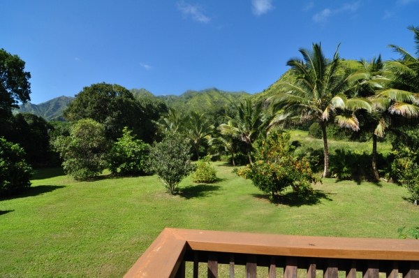 7158 Kahuna Road, Unit 1 & 2 Kapaa, HI 96746 - Photo 11 of 23 a view of a yard with a tree