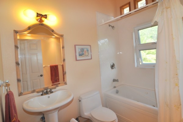 7158 Kahuna Road, Unit 1 & 2 Kapaa, HI 96746 - Photo 20 of 23 a bathroom with a sink a toilet and shower