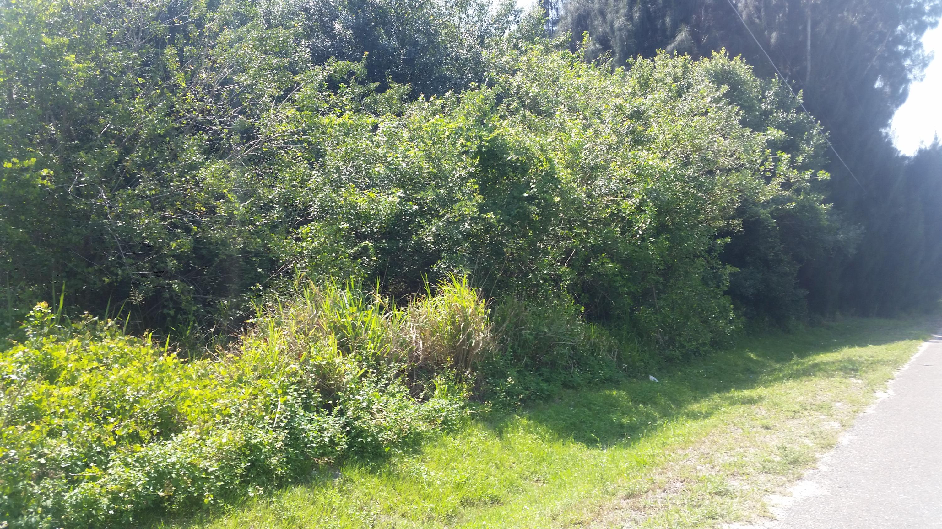 0 Dunn Road Fort Pierce, FL 34981 - Photo 4 of 16 20150419_112625