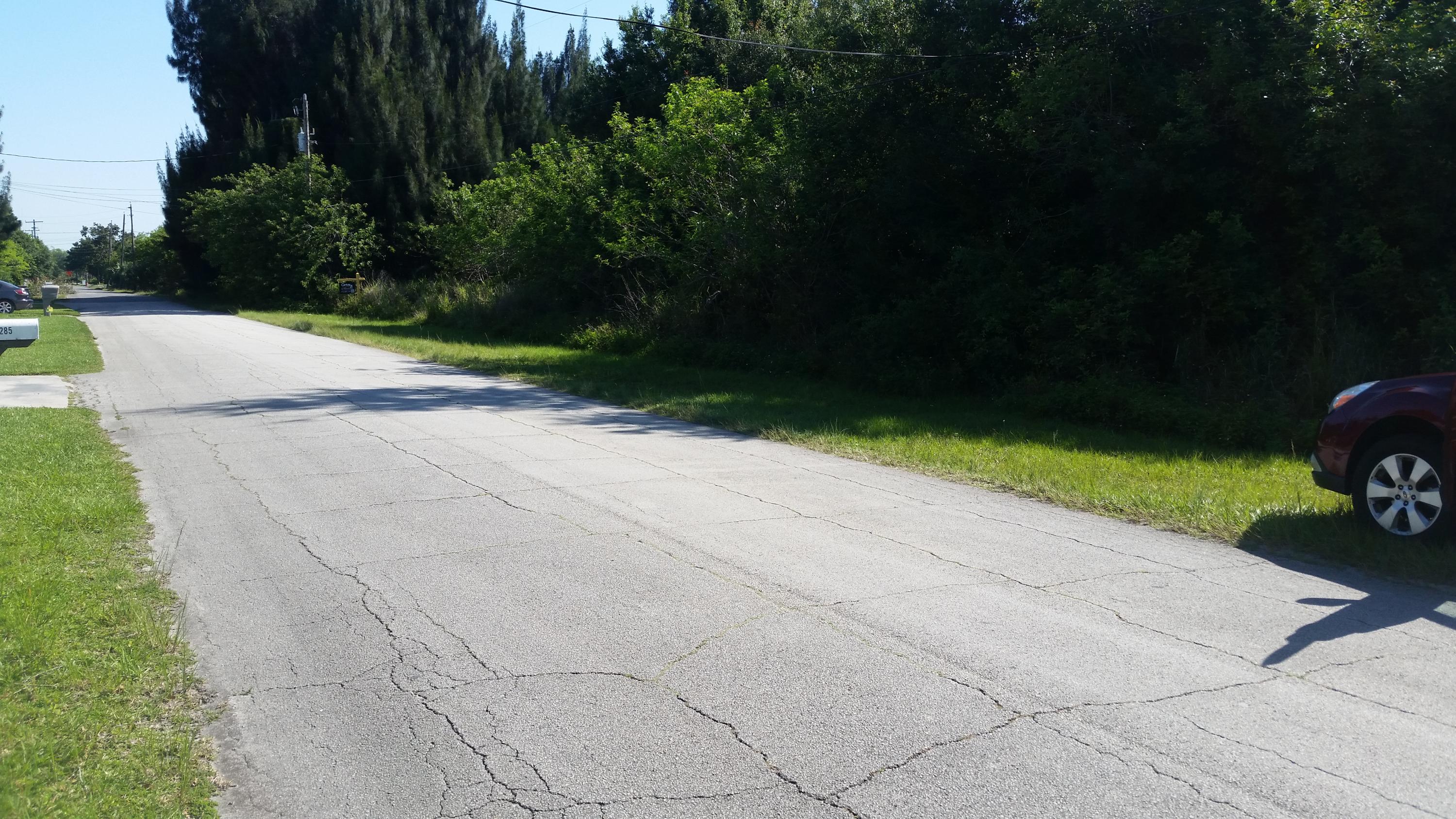 0 Dunn Road Fort Pierce, FL 34981 - Photo 6 of 16 20150509_095757